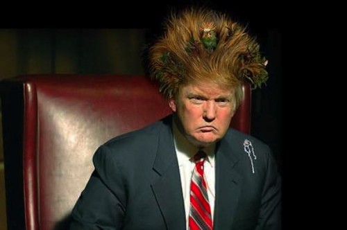 donald-trump-with-nest-hair-style-very-funny-image