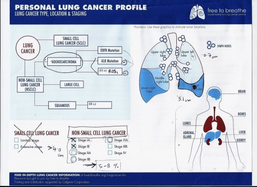 Mudad Lung Cancer