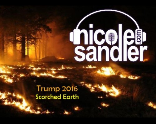 scorched-earth-2016